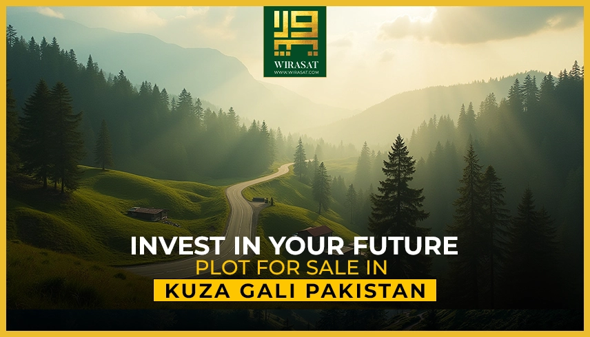 Invest in Your Future Plot for Sale in Kuza Gali Pakistan