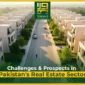 Challenges and Prospects in Pakistan's Real Estate Sector