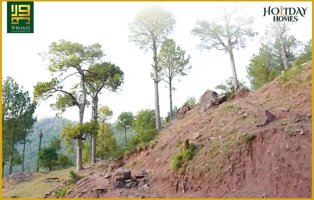 Holiday Homes Murree View 02