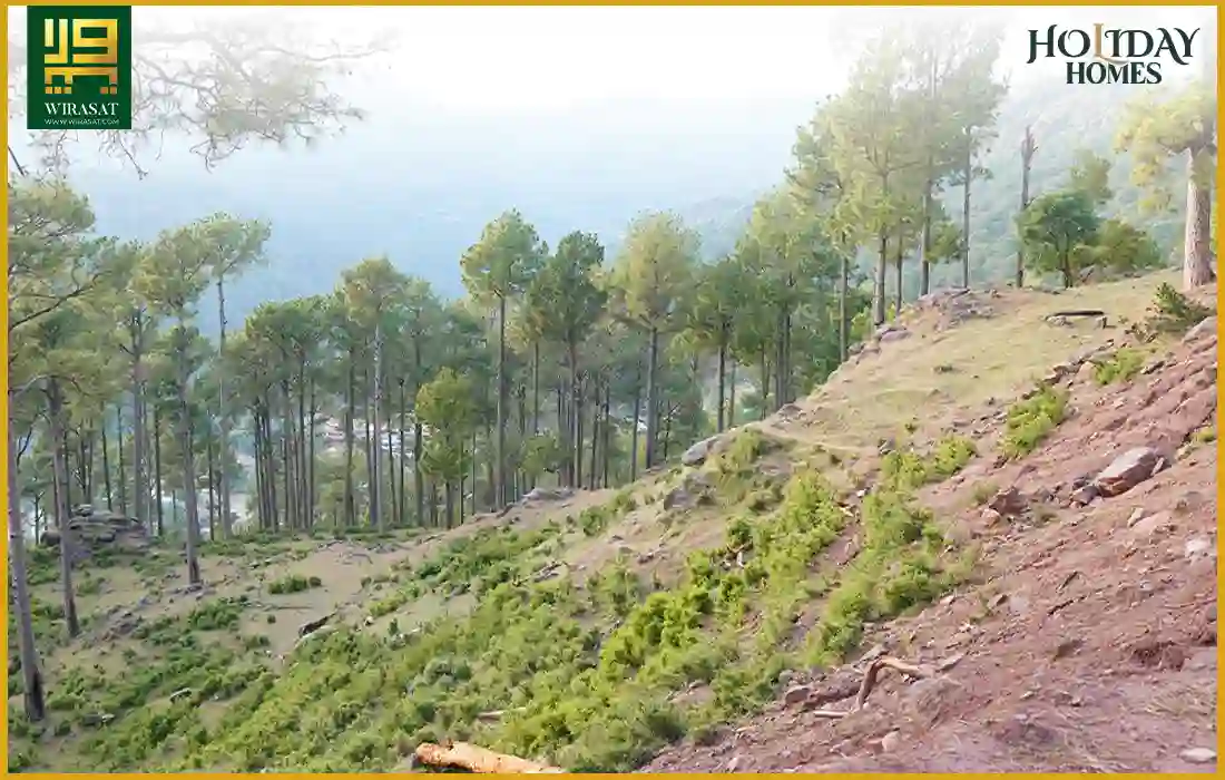 Holiday Homes Murree View 05