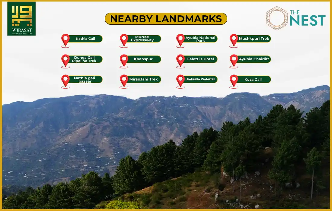 Nearby Landmarks The Nest