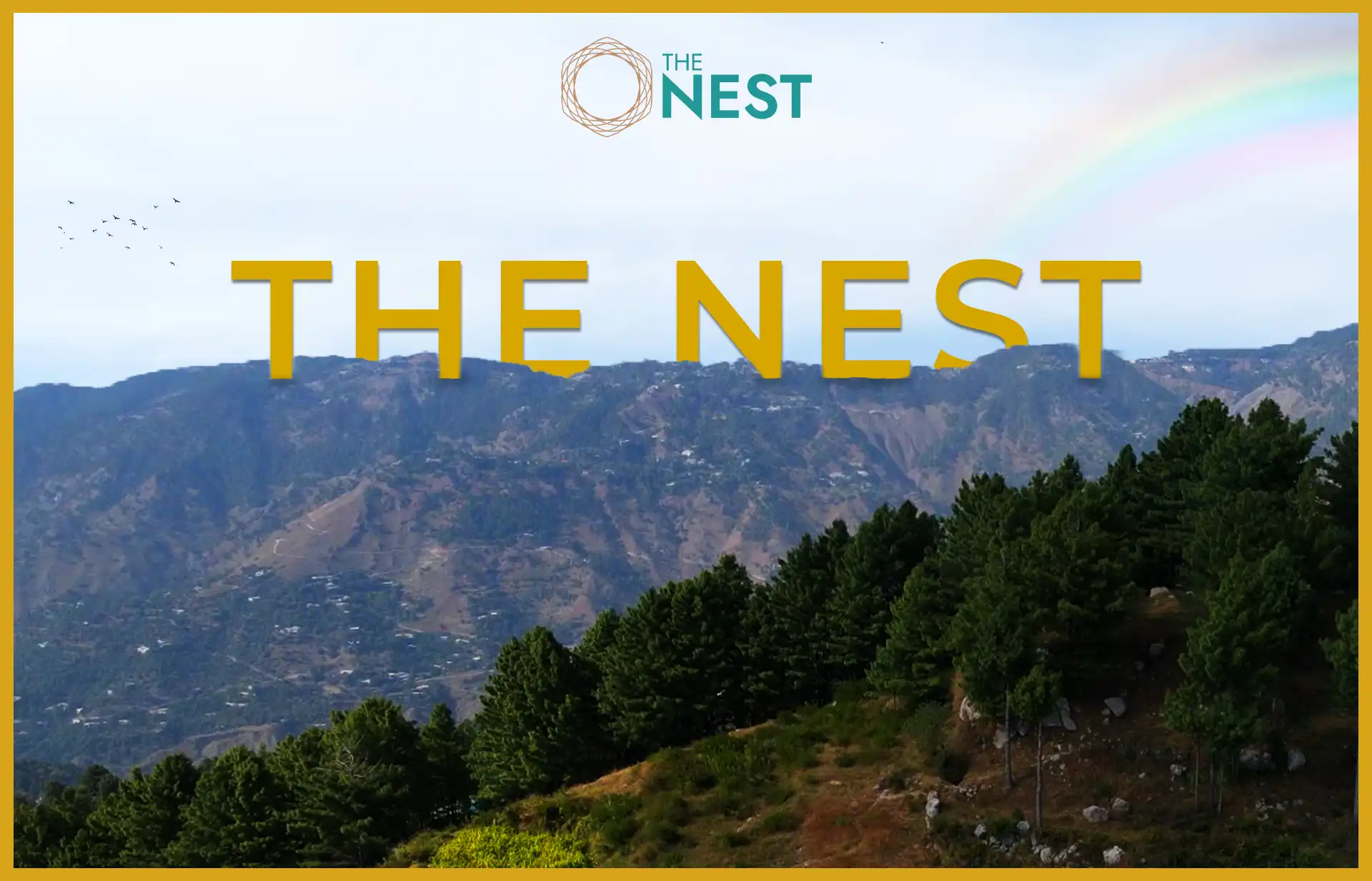 The Nest