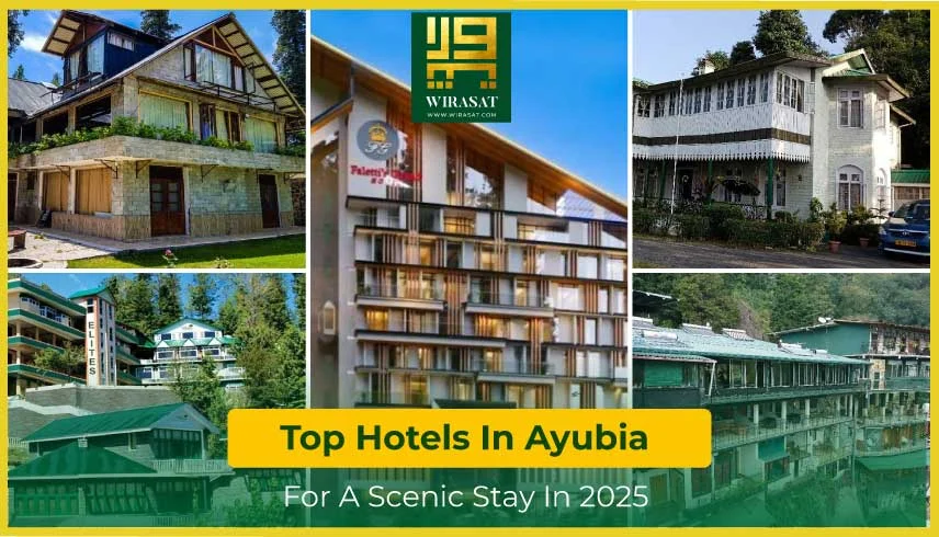 Top Hotels In Ayubia